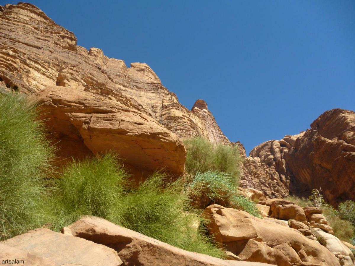 Sunrise Camp Hotel Wadi Rum Exterior foto